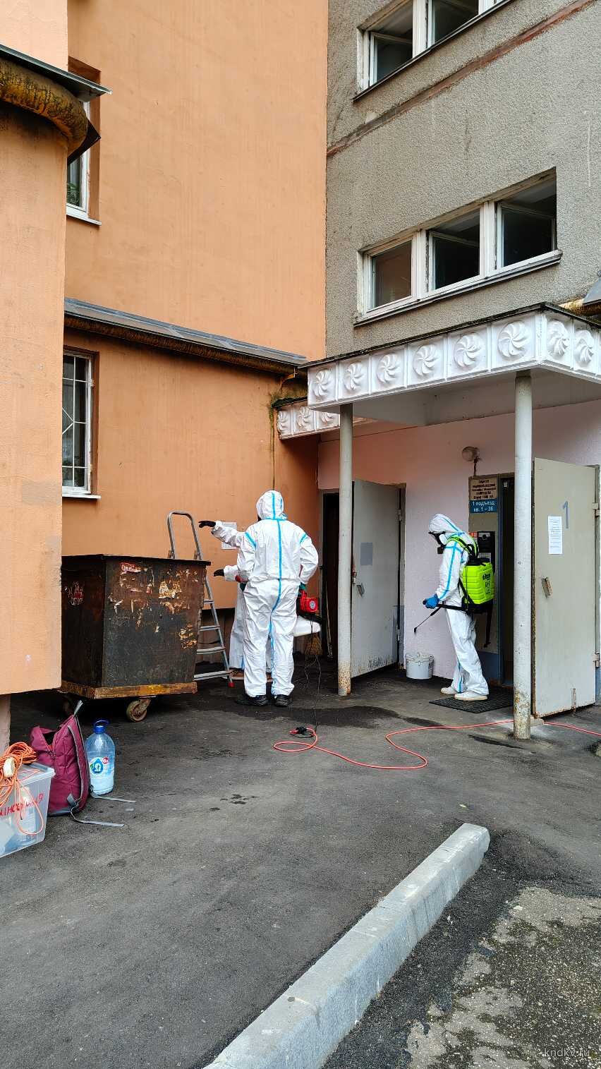 Дезинсекция мест общего пользования в подъезде девятиэтажного дома